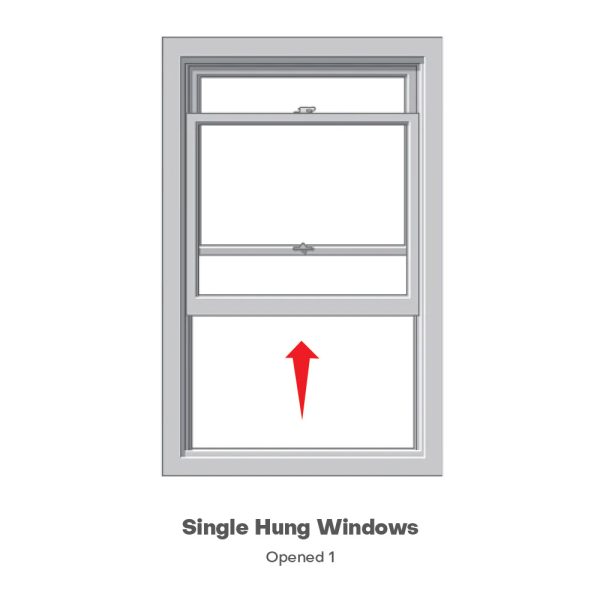 Single Hung Windows